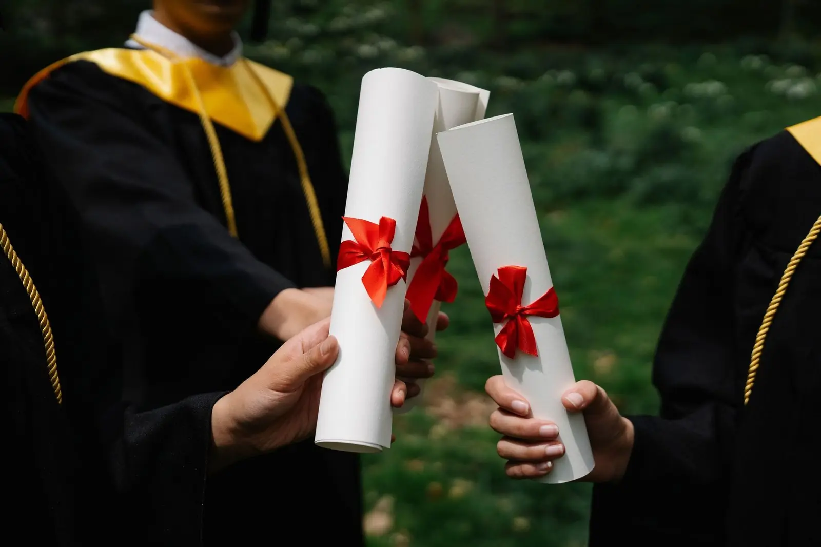 Graduates in gowns holding rolled degree certificates tied with red ribbon